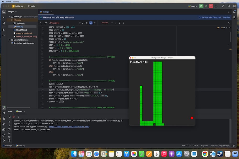 Python programmieren